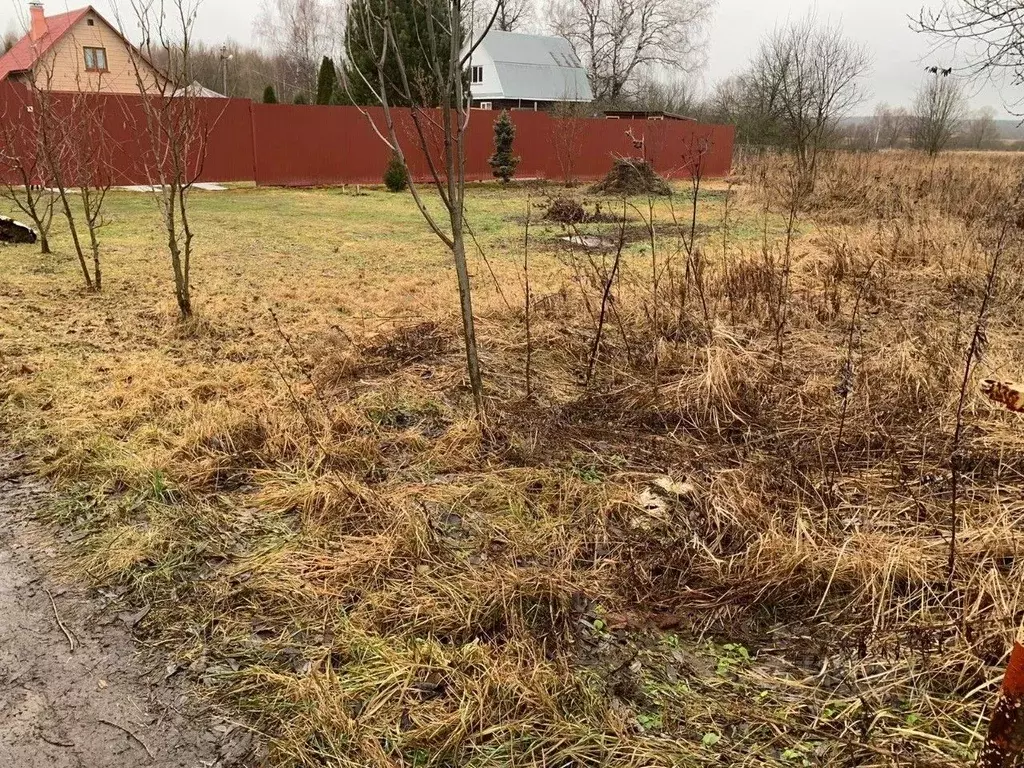 Участок в Московская область, Ступино городской округ, д. Лаврентьево ... - Фото 0