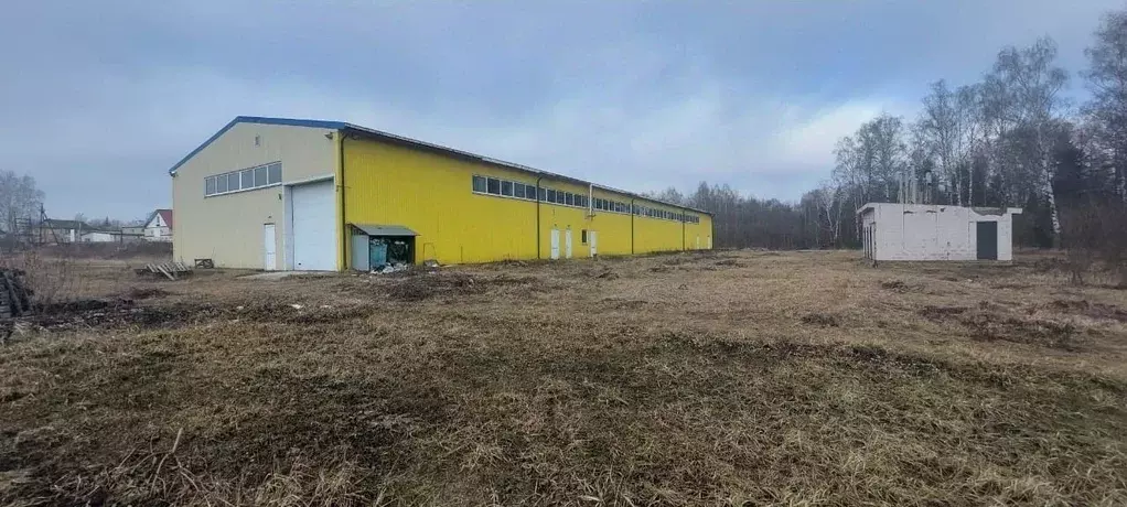 Производственное помещение в Владимирская область, Лакинск г. ... - Фото 0