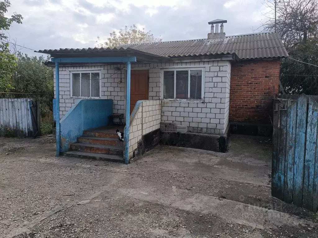 Дом в Липецкая область, с. Становое ул. Тимирязева, 5 (60 м) - Фото 2