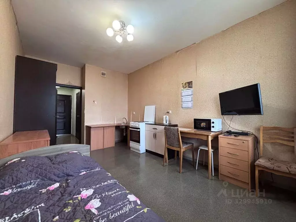 Студия Санкт-Петербург пос. Шушары, пер. Вилеровский, 6 (23.6 м) - Фото 2