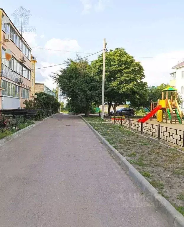 1-к кв. Воронежская область, Рамонь рп ул. 50 лет Октября, 28 (33.7 м) - Фото 0