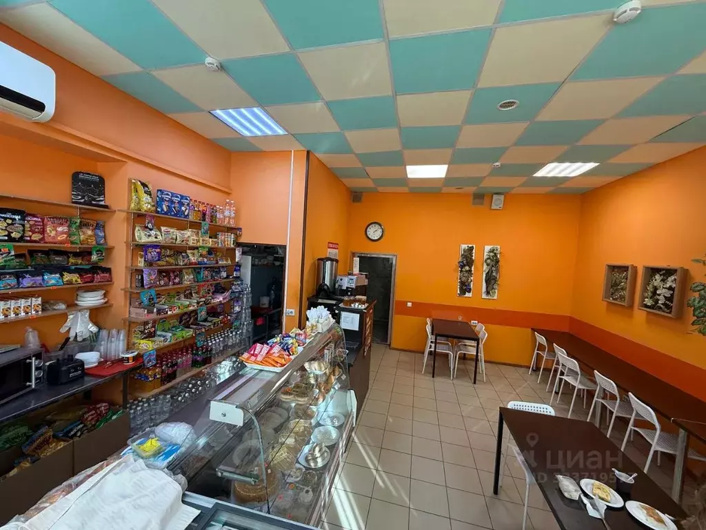 Помещение свободного назначения в Татарстан, Казань просп. Ямашева, ... - Фото 1