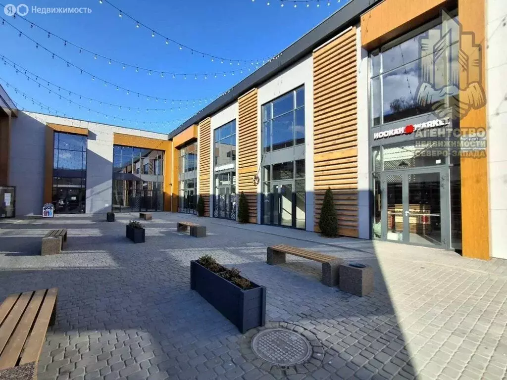 Помещение свободного назначения (23.1 м) - Фото 2