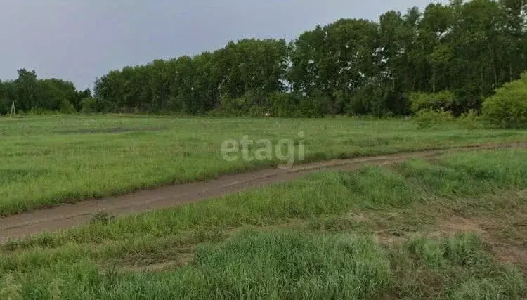 Участок в Новосибирская область, Новосибирский район, Морской ... - Фото 0