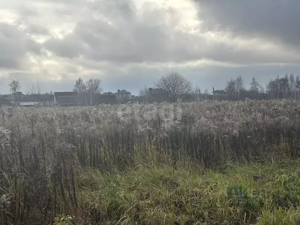 Участок в Брянская область, Брянский район, Добрунское с/пос, д. ... - Фото 2