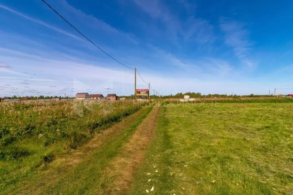 Участок в Тюменская область, Тюмень Большое Царево-2 СНТ,  (10.0 сот.) - Фото 1