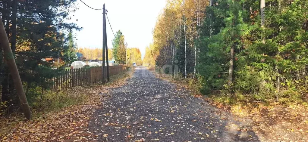 Участок в Ханты-Мансийский АО, Ханты-Мансийск Маяк СОТ,  (15.0 сот.) - Фото 1
