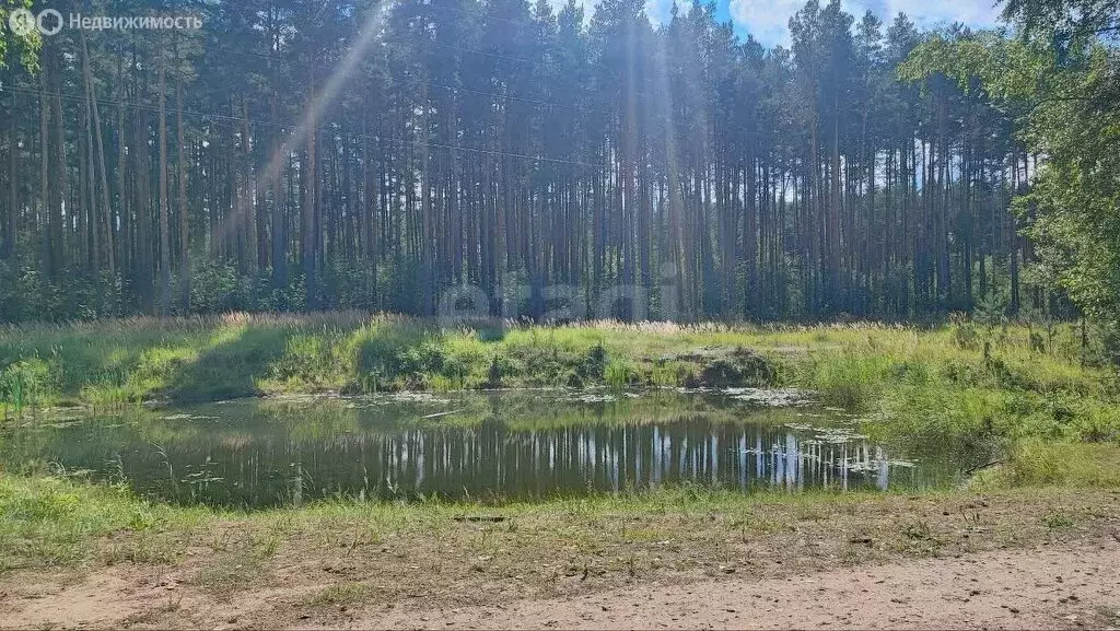 Дом в Тверь, садоводческое некоммерческое товарищество Дружба (21 м) - Фото 0