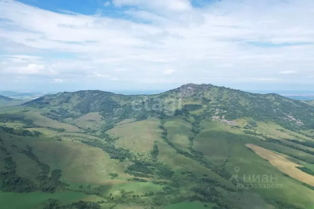 Участок в Алтайский край, Алтайский район, Айский сельсовет, с. Ая  ... - Фото 1