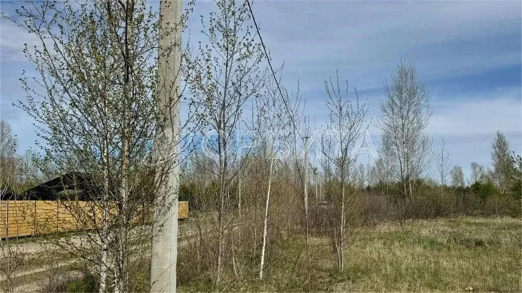 Участок в Тюменская область, Тюмень Поле Чудес-2 садовое товарищество, ... - Фото 1