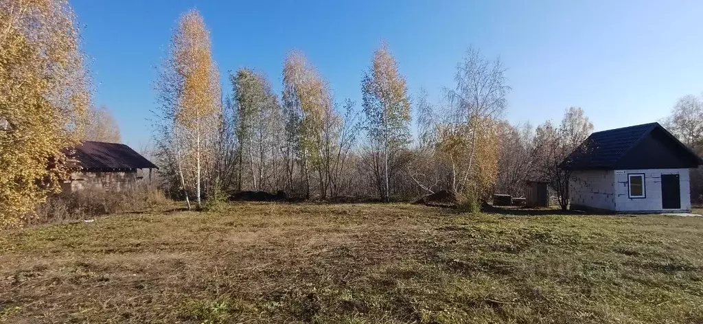 Участок в Алтайский край, Барнаул городской округ, пос. Бельмесево ... - Фото 1