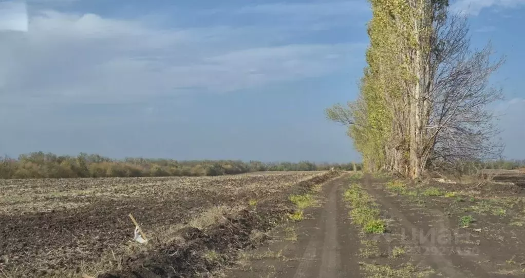 Участок в Ростовская область, Аксайский район, Щепкинское с/пос, пос. ... - Фото 1