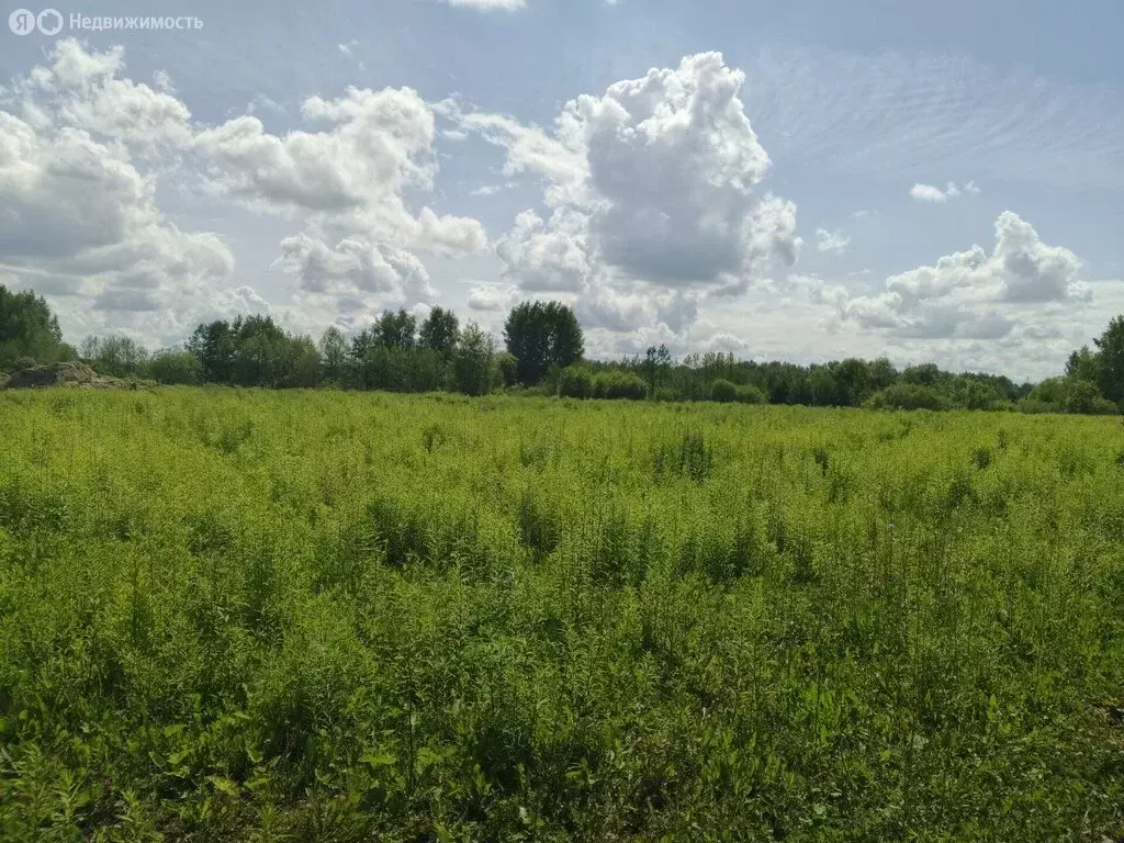 Участок в Нижегородская область, Бор (8 м) - Фото 0