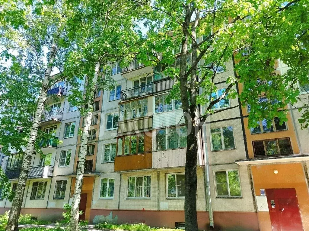 2-комнатная квартира: Санкт-Петербург, проспект Космонавтов, 48к3 ... - Фото 1