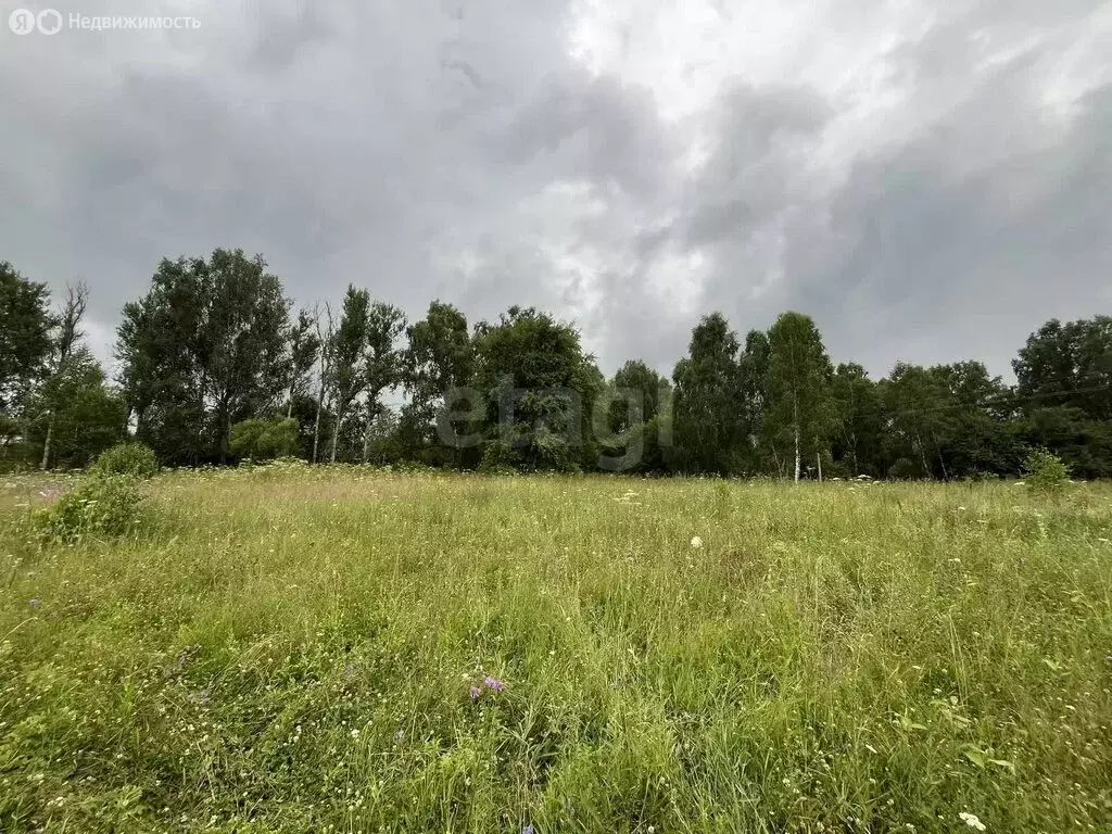Участок в деревня Богдановка, Заречная улица (10 м) - Фото 2