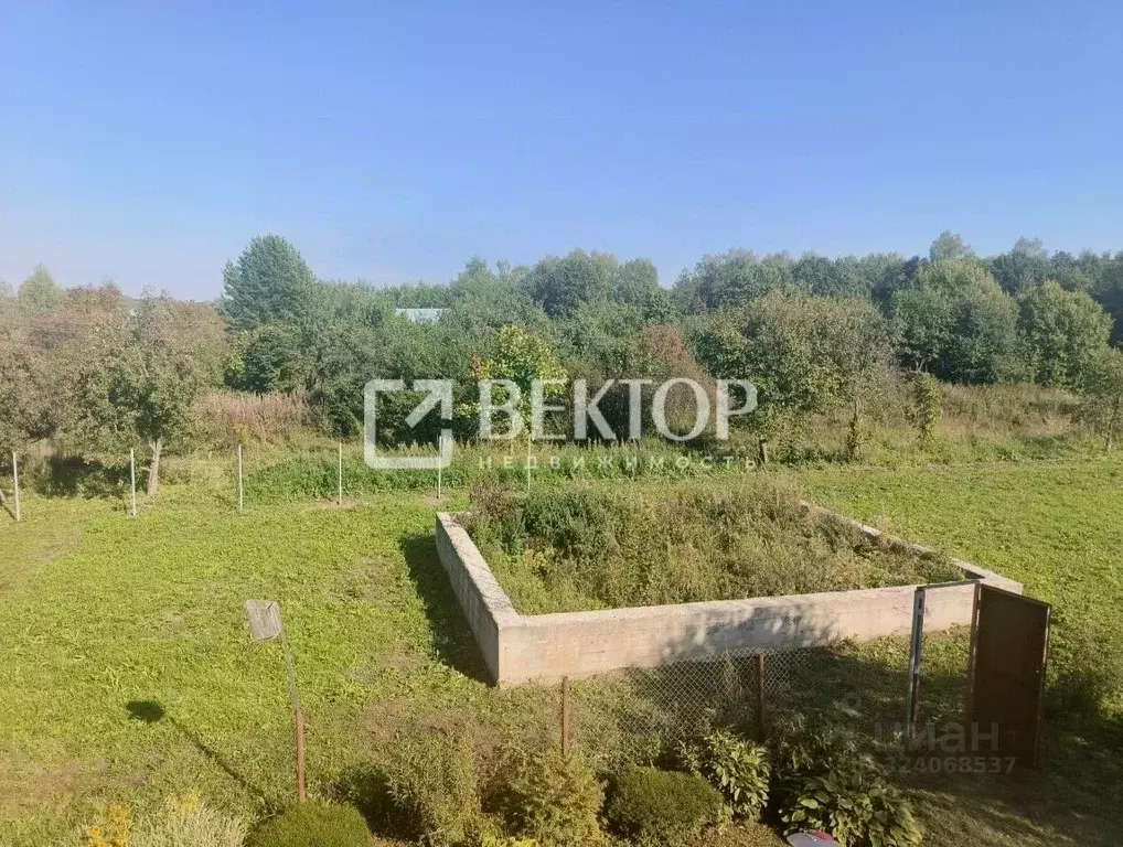 Участок в Владимирская область, Суздальский район, Новоалександровское ... - Фото 1