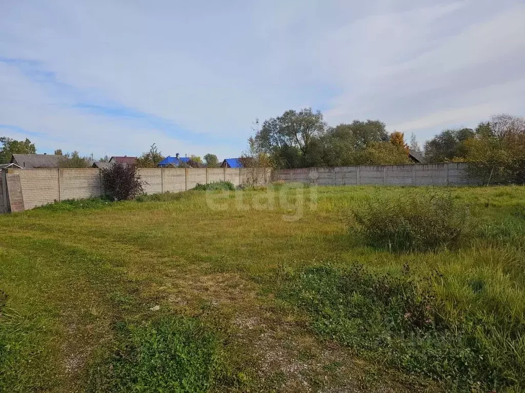 Дом в Псковская область, Пыталово Береговая ул., 38 (200 м) - Фото 1