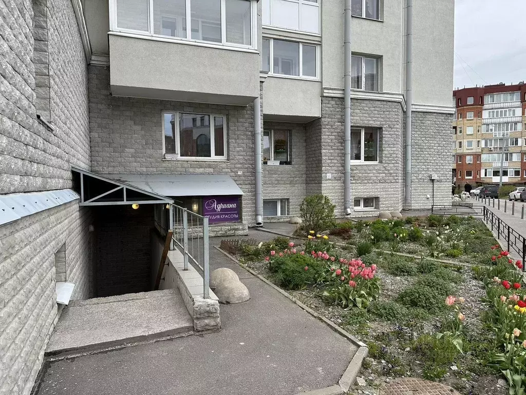 Помещение свободного назначения в Санкт-Петербург, Санкт-Петербург, ... - Фото 1