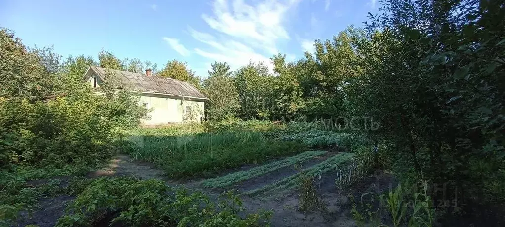 Участок в Тюменская область, Тюмень Мыс мкр, ул. Шоссейная (11.16 ... - Фото 0