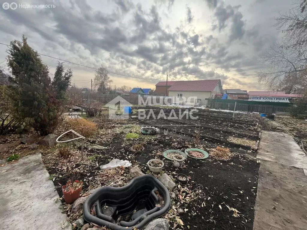 Участок в Омск, территория СОСН Яблонька, 233 (4.62 м) - Фото 2