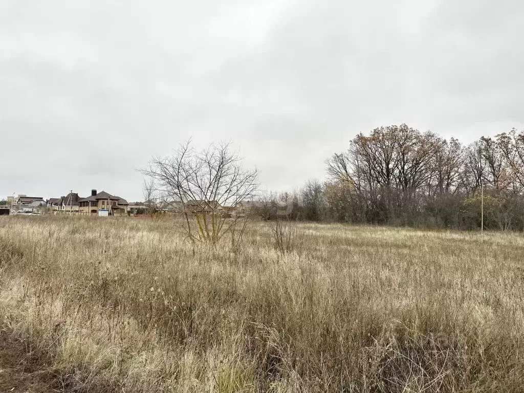 Участок в Белгородская область, Белгородский район, Тавровское с/пос, ... - Фото 0