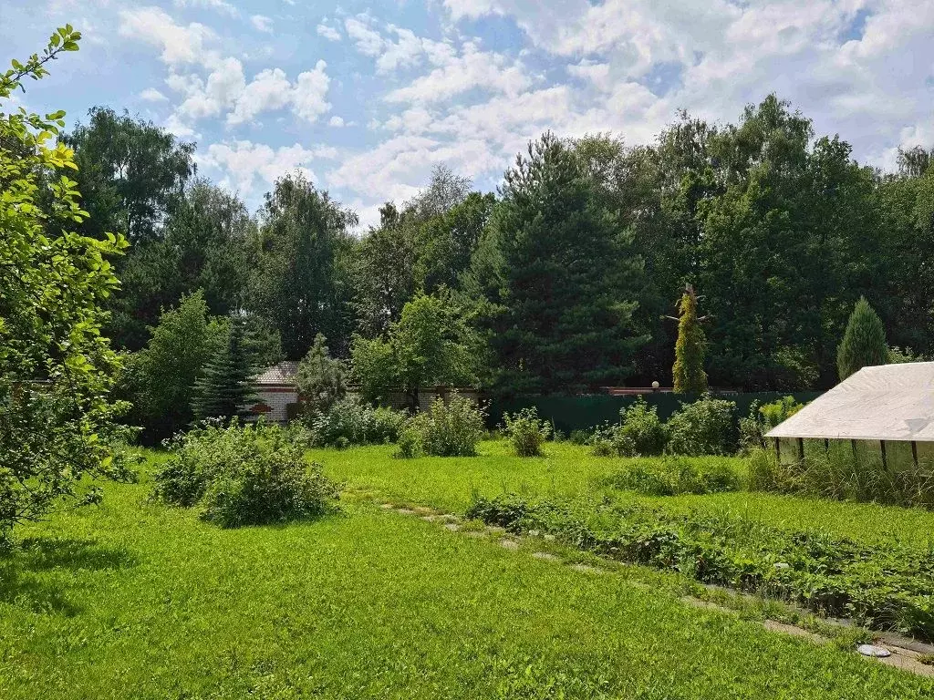 Участок в Московская область, Одинцовский городской округ, д. Большое ... - Фото 2