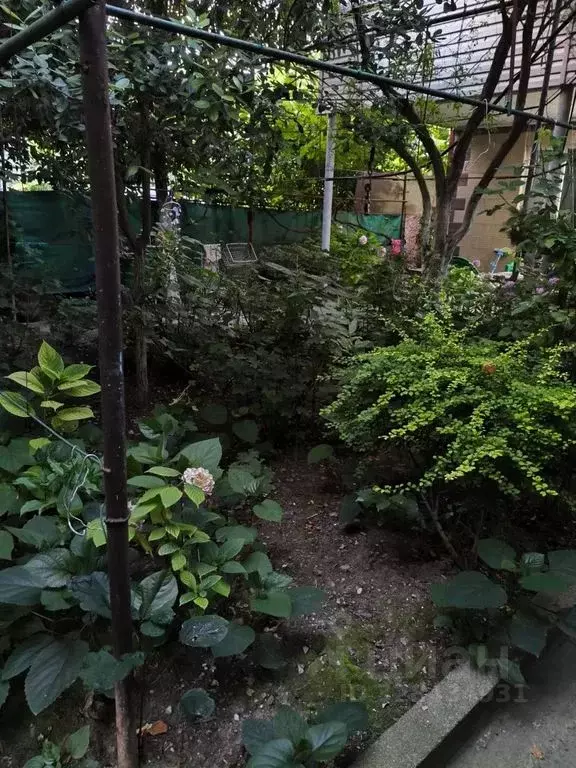 Дом в Краснодарский край, Сочи ул. Лазарева, 144 (80 м) - Фото 2