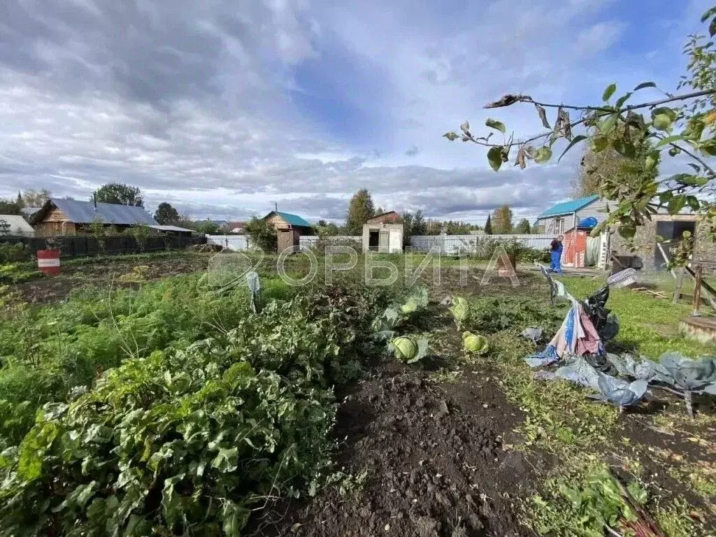Дом в Тюменская область, Нижнетавдинский муниципальный округ, Виктория ... - Фото 1