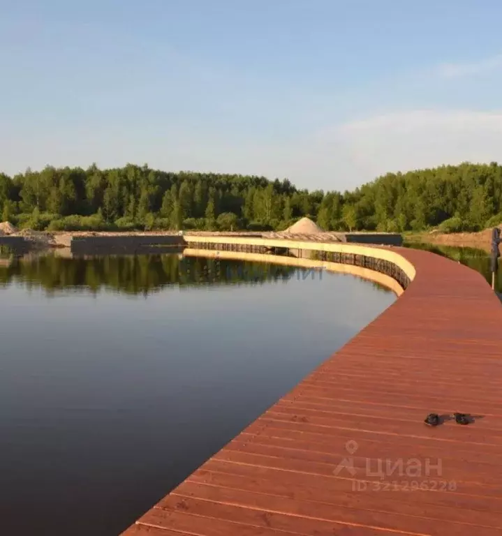 Участок в Нижегородская область, Чкаловск муниципальный округ, д. ... - Фото 1