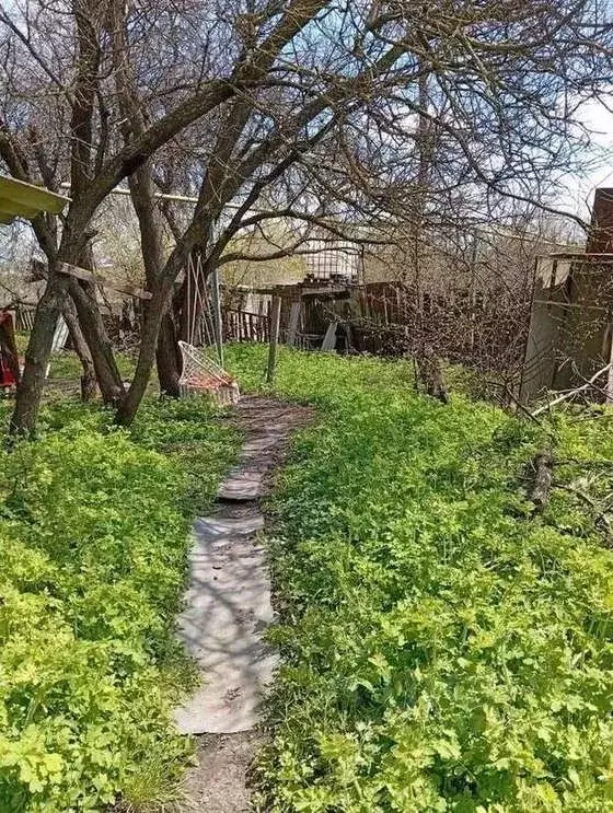 Дом в Белгородская область, Яковлевский муниципальный округ, ... - Фото 2