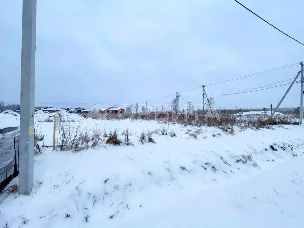 Участок в Тюменская область, Тюмень СОСН Березовое Озеро тер., ул. ... - Фото 1