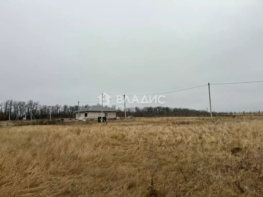 Участок в Пензенская область, с. Бессоновка ул. Ключевая (10.0 сот.) - Фото 2