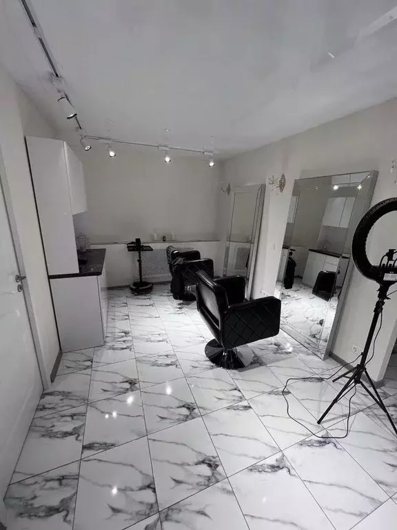 Помещение свободного назначения в Московская область, Старая Купавна ... - Фото 0