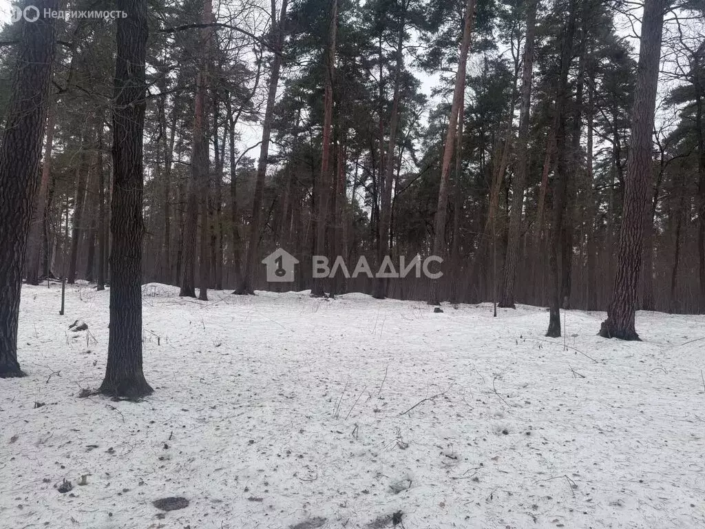 Участок в Московская область, Одинцовский городской округ, ПСК ... - Фото 1