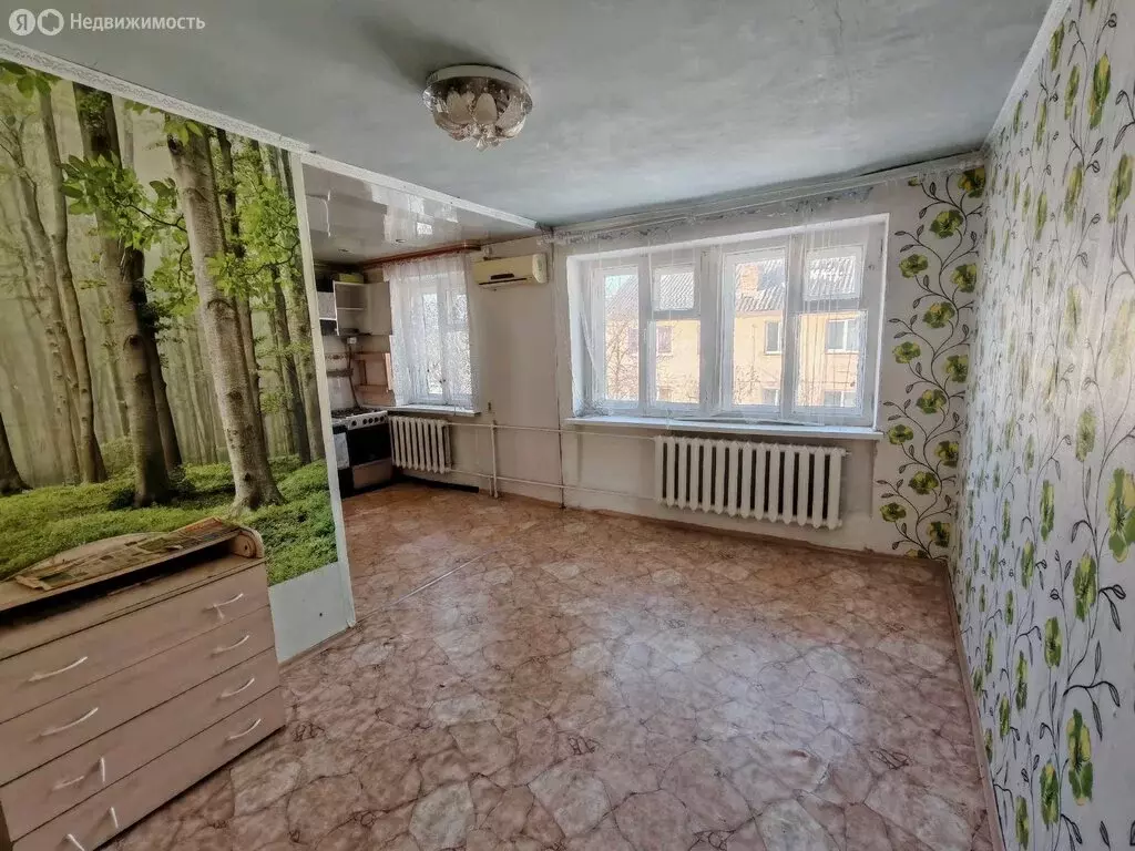 1-комнатная квартира: Вологодский муниципальный округ, деревня ... - Фото 1