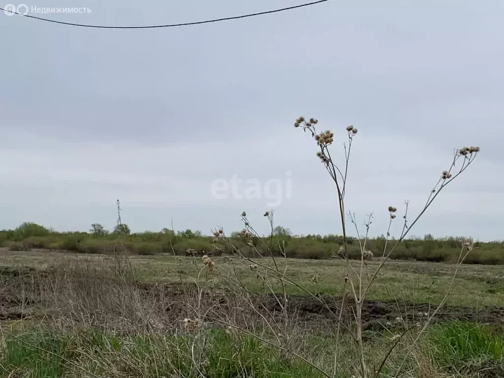 Участок в Далматово, улица Соболева (75 м) - Фото 1