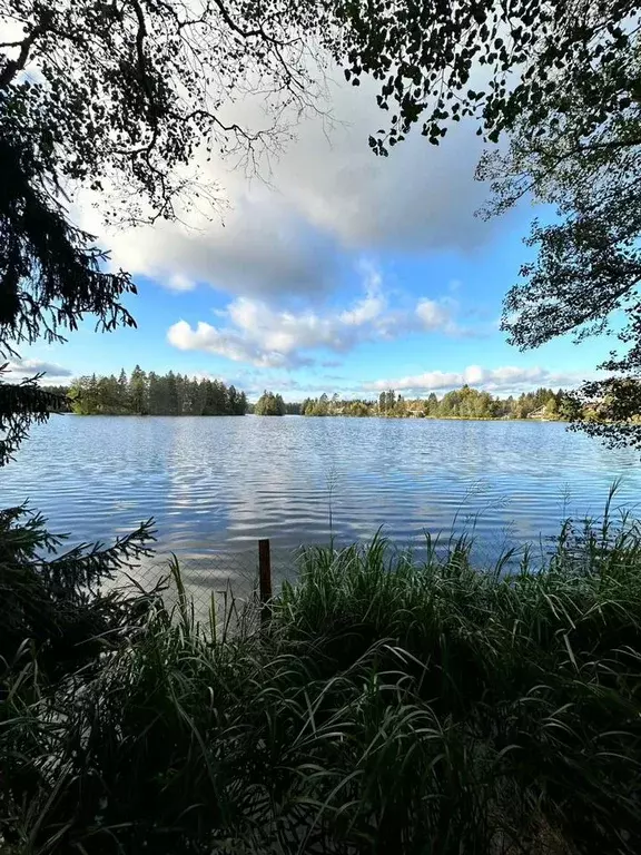 Дом 126 м на участке 9,8 сот. - Фото 0