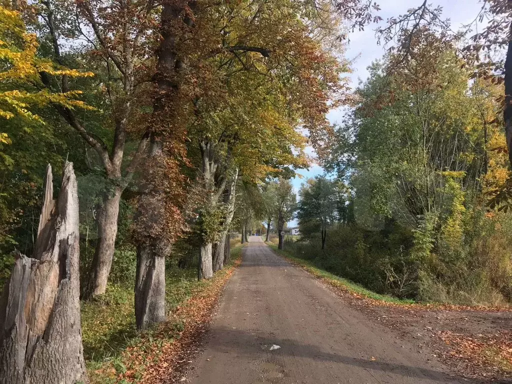 Участок 10 сот. (ИЖС) - Фото 1