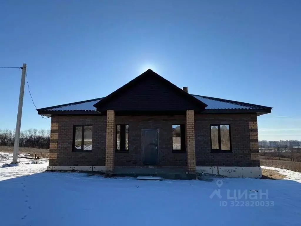 Дом в Амурская область, Благовещенский район, с. Чигири ул. Высокая ... - Фото 1