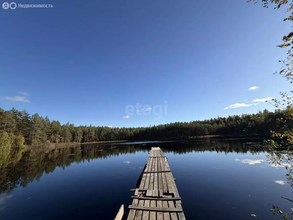 Участок в Серебрянское сельское поселение, деревня Алексеевка, Новая ... - Фото 2