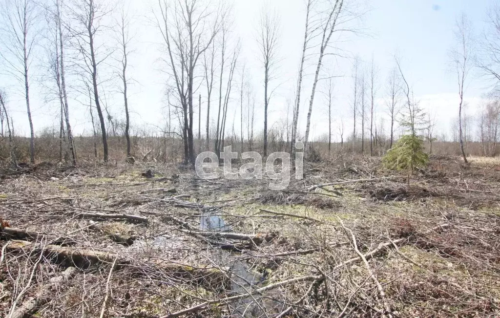 Участок в Калужская область, Малоярославецкий район, Михеево с/пос, д. ... - Фото 2