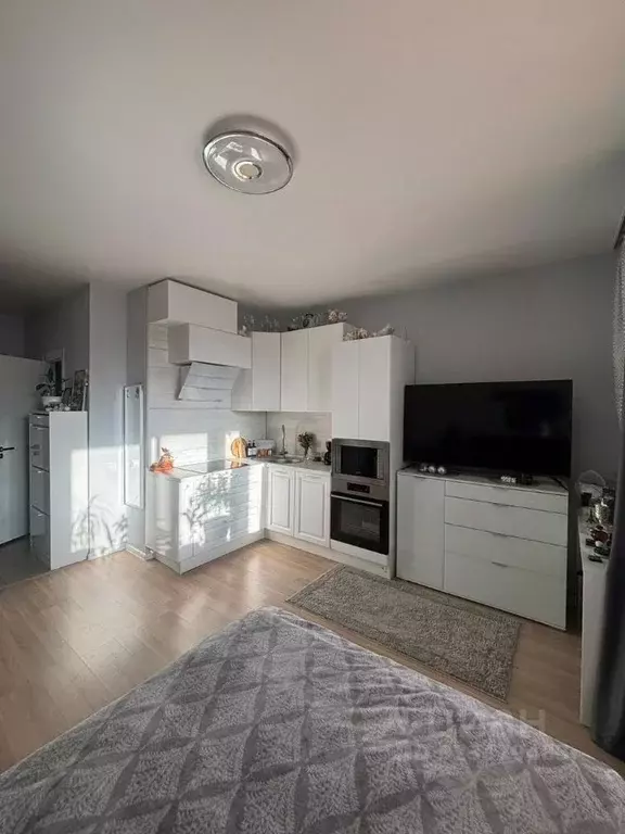 Студия Московская область, Ленинский городской округ, Мисайлово пгт ... - Фото 1