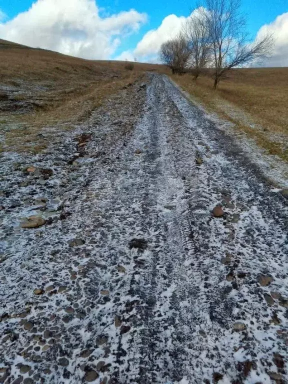 Участок в Алтай, Майминский район, пос. Алферово Центральная ул., 31А ... - Фото 1