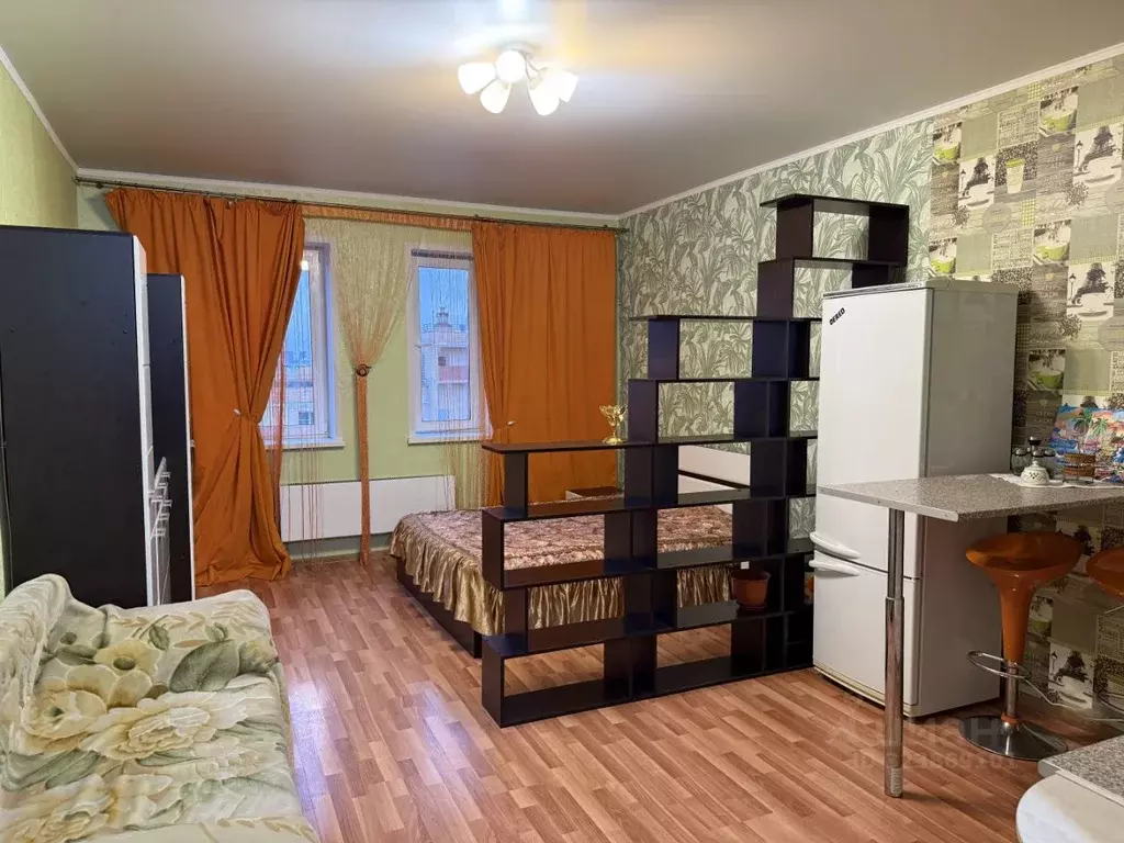 Студия Московская область, Балашиха городской округ, д. Павлино 69 ... - Фото 1