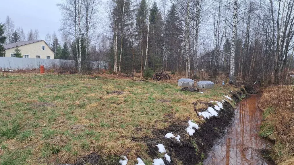 Участок в Ленинградская область, Ломоносовский район, Пениковское ... - Фото 2