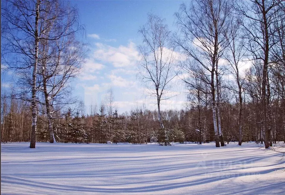 Участок в Новосибирская область, Искитимский район, Морозовский ... - Фото 2