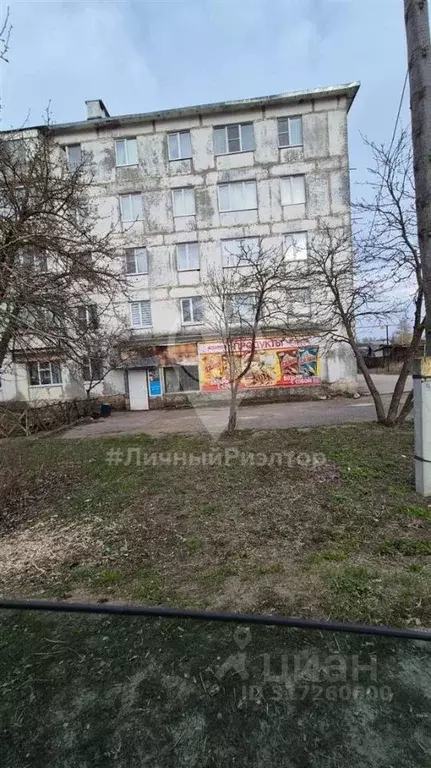Торговая площадь в Рязанская область, Спасск-Рязанский ул. Урицкого, ... - Фото 1