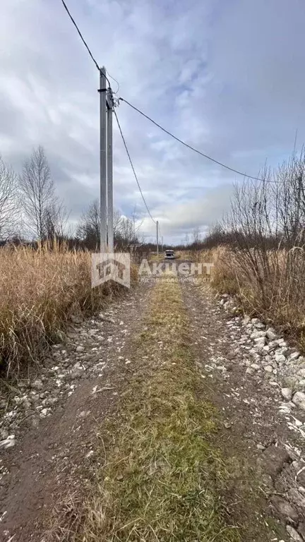 Участок в Ивановская область, Ивановский район, Коляновское с/пос, с. ... - Фото 1
