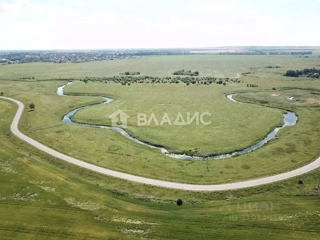 Участок в Владимирская область, Суздальский район, Селецкое ... - Фото 1