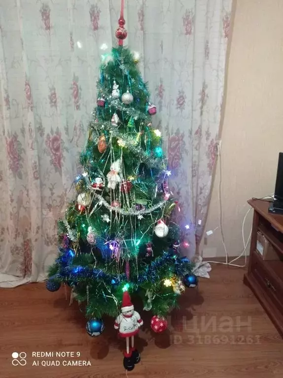 Комната Крым, Евпатория городской округ, Заозерное пгт ул. ... - Фото 2